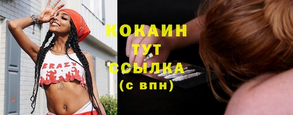 твердый Богородск