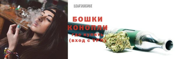 молекула духа Бронницы