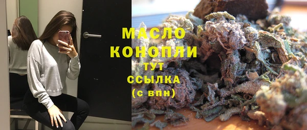 дживик Бородино