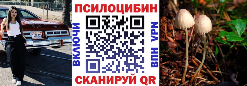 Псилоцибиновые грибы Magic Shrooms Кемь